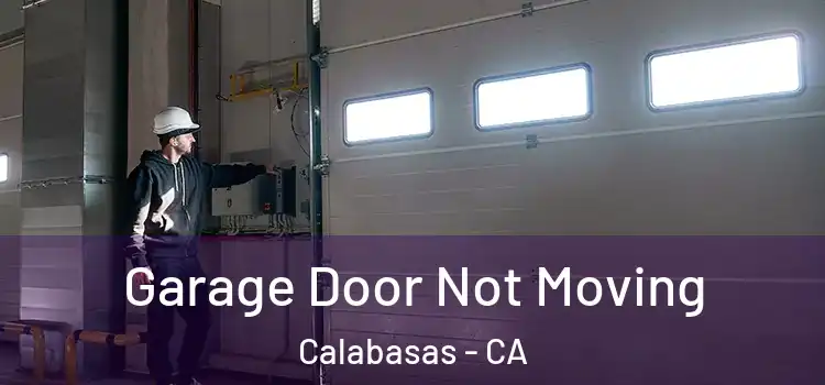  Garage Door Not Moving Calabasas - CA