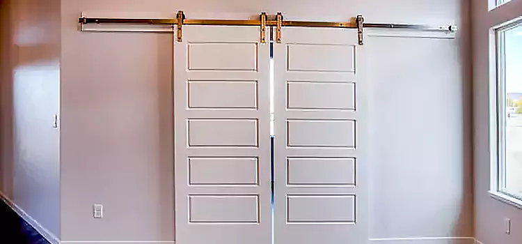 Glass Barn Door with Installation Hardware Kit Calabasas