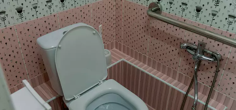 Meeting Diverse Needs With Accessible Restroom Solutions in Calabasas, CA